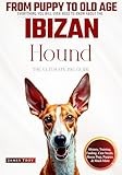 The Ultimate Ibizan Hound Big Guide: Everything You Will Ever Need To Know About The Ibizan Hound Book