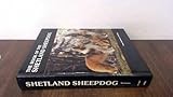 Shetland Sheepdog thumbnail