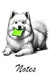 American Eskimo Dog