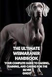 Weimaraner thumbnail