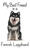 My best Friend is a Finnish Lapphund: 8” x 5” Blank lined Journal Notebook 120 College Ruled Pages (Best Friends)
