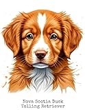 Nova Scotia Duck Tolling Retriever: Notebook, 120 blank lined pages, 8.5 by 11