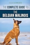 Malinois thumbnail