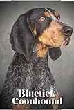 Bluetick Coonhound: Dog breed overview and guide