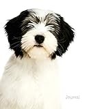 Journal: Polish Lowland Sheepdog Puppy
