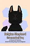 Belgian Shepherd Groenendael Dog: A Breed of Medium-Sized Herding Dog from Belgium: Everything You Need to Know About Belgian Shepherd Groenendael Dog
