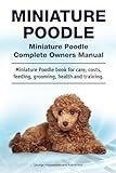 Poodle Miniature thumbnail
