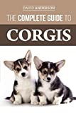 The Complete Guide to Corgis: Everything to Know About Both the Pembroke Welsh and Cardigan Welsh Corgi Dog Breeds