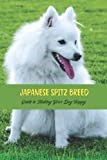 Japanese Spitz thumbnail