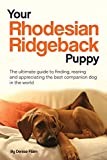 Rhodesian Ridgeback thumbnail