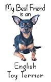 My best Friend is an English Toy Terrier: 8” x 5” Blank lined Journal Notebook 120 College Ruled Pages