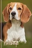 Beagle Notebook: Cute Beagle Image Lined Journal, The Perfect Novelty Beagle Gift for a Beagle Lover or Dog Owner