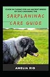 Guide In Caring For An Ancient Breed Of Dog Choosing The Sarplaninac Care Guide