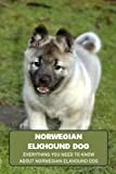 Norwegian Elkhound Dog: Everything You Need to Know about Norwegian Elkhound Dog: Norwegian Elkhound Information and Owner's Guide