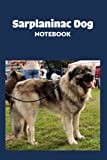 Sarplaninac Dog Notebook: Notebook|Journal| Diary/ Lined - Size 6x9 Inches 100 Pages