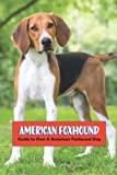 American Foxhound: Guide to Own A American Foxhound Dog