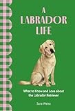 A Labrador Life: What to Know and Love About the Labrador Retriever (Favorite Dog)