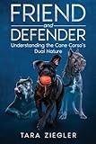 Friend and Defender: Understanding the Cane Corso’s Dual Nature