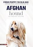 The Ultimate Afghan Hound Big Guide: Everything You Will Ever Need To Know About The Afghan Hound Book