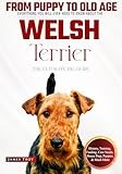 The Ultimate Welsh Terrier Big Guide: Everything You Will Ever Need To Know About The Welsh Terrier Book