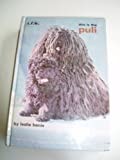 This Is the Puli