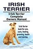 Irish Terrier thumbnail