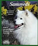 Samoyed thumbnail