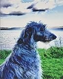 Journal: Scottish Deerhound looking out to sea