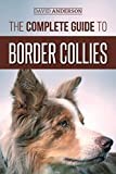 Border Collie thumbnail