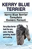 Kerry Blue Terrier thumbnail