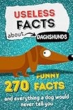 Dachshund thumbnail