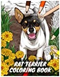 Rat Terrier Coloring Book: Rat Terrier Dog Adult Coloring Book