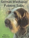 German Wirehaired Pointers Today