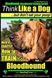 Bloodhound, Bloodhound Training AAA AKC: | Think Like a Dog, but Don’t Eat Your Poop! | Bloodhound Breed Expert Training |: Here’s EXACTLY How to Train Your Bloodhound