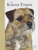 Border Terrier