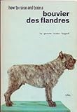How to Raise and Train a Bouvier des Flandres