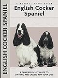 English Cocker Spaniel thumbnail