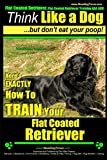Flat Coated Retriever, Flat Coated Retriever Training AAA AKC | Think Like a Dog ~ But Don't Eat Your Poop! | Flat Coated Retriever Breed Expert ... How To TRAIN Your Flat Coated Retriever