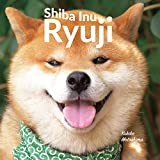 Shiba Inu Ryuji