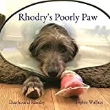 Rhodry's Poorly Paw (Rhodry the Scottish Deerhound Book 3)