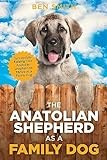 Anatolian Shepherd Dog thumbnail
