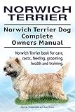 Norwich Terrier thumbnail