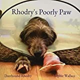 Rhodry's Poorly Paw (Rhodry the Scottish Deerhound)