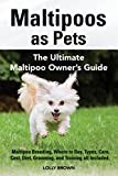 Maltipoos as Pets: Maltipoo Breeding, Where to Buy, Types, Care, Cost, Diet, Grooming, and Training all Included. The Ultimate Maltipoo Owner’s Guide