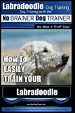 Labradoodle Training: Dog Training With the No BRAINER Dog TRAINER "We Make it That Easy": How to EASILY Train Your Labradoodle