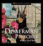 The Doberman Pinscher: Brains and Beauty (Howell's Best of Bre)