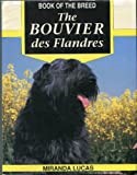 The Bouvier Des Flandres
