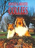Collie thumbnail