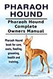 Pharaoh Hound thumbnail