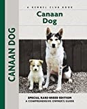 Canaan Dog